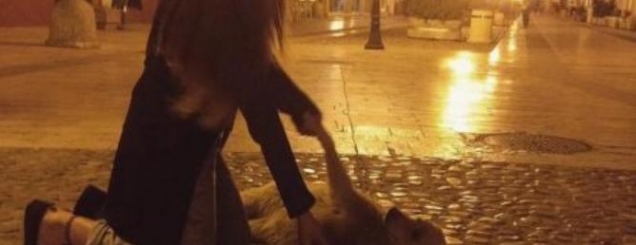 Alma Nikolli: Ne i rrisim qent&euml;<br />kafshues dhe njer&euml;zit vras&euml;s