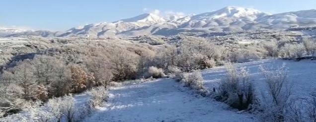 D&euml;bora 'pushton' Dibr&euml;n,trash&euml;sia<br />mbi 40 cm,l&euml;vizja me zinxhir&euml;<br>
