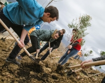 Studentët në krah të Veliajt:Deri<br />në prill mbjellim 100 mijë pemë<br>
