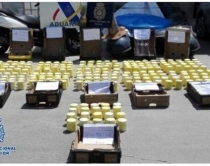 Portugali, qindra kilogramë<br />kokainë e fshehur në Ananas<br>
