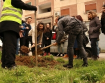 Aksioni p&euml;r pem&euml;t&nbsp;n&euml; faz&euml; intensive,<br />i bashkohen nx&euml;n&euml;s&nbsp;e qytetar&euml;<br>
