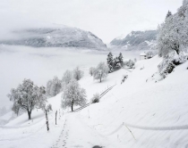 Dëbora vijon që të mbajë qindra<br />familje të bllokuara në disa qarqe<br>
