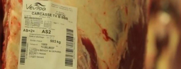 Mediat belge alarm:Tonelata mish<br />i skaduar në tregun e Kosovës<br>

