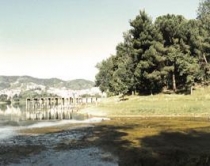 Liqeni artificial i Tiranës<br />drejt tharjes së plotë