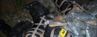 Kapen 300 kg drogë nga<br />Lazarati, do të vinte në Tiranë