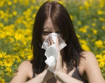 Mbi 20 % e popullsisë në <br />vend ka problem alergjike