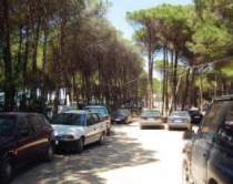 Golem, zbulohet banda e plazhit: <br />Një në pranga, dy në kërkim