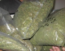 Sekuestrohen 109 kilogramë marihuanë, origjina Lazarati