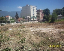 Zgjerimi i rrugës së Elbasanit, <br />priten pemët te parku i Liqenit