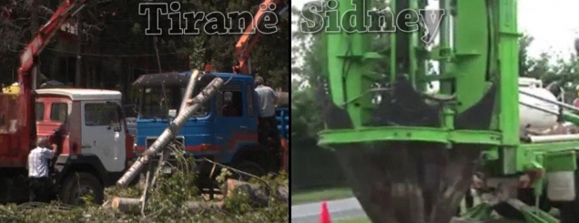 Si australianët do kishin trajtuar <br />pemët e Parkut të Liqenit/Video