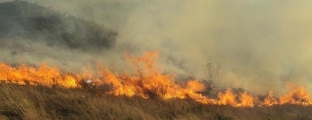 Zjarret në Pukë përparojnë drejt<br />Mirditës, riaktivizohet në Korçë