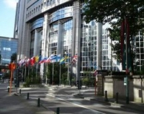 PE: Në Shqipëri nuk nuk <br />respektohen të drejtat e grave