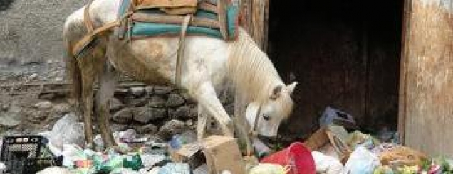 Investigimi/ Shqipëria koshi i<br />mbetjeve toksike për Italinë