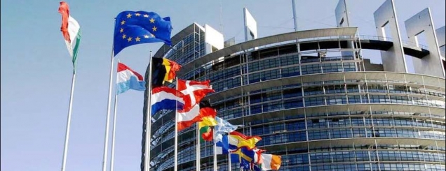 Komiteti i MSA, BE: Zgjedhjet <br />dhe 21 Janari, shqetësimi ynë