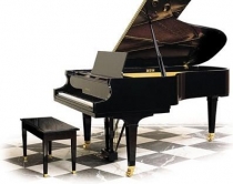 Pianistja dhe nj&euml; Sh&euml;n Valentin<br />i paharrua