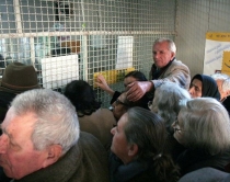 Pensionet ose reforma m&euml;<br />e thell&euml; sociale