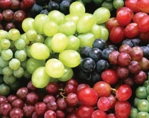 Rrushi, burim i<br />shkëlqyeshëm i mineraleve