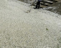 Kinë, qindra ton peshk i ngordhur<br />në lum, fabrika kimike i helmoi