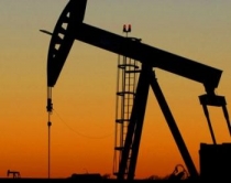 Shmangu detyrimet fiskale të naftës<br />gjobë 6,9 mln lekë subjektit 'Phenix'