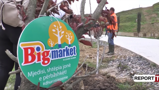Big Market i bashkohet nismës së Veliajt për mbjelljen e pemëve
