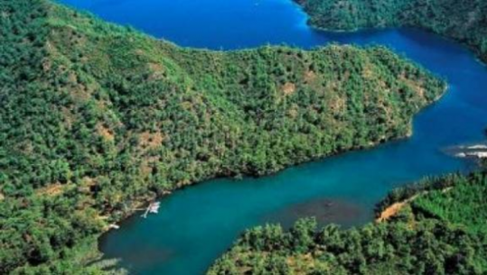 “Karaburuni”, dosja e plotë, kërkohen 81 vite burg për falsifikatorët