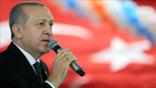 Erdogan: Vazhdojmë luftën ndaj terrorizmit, Afrini nën kontrollin turk