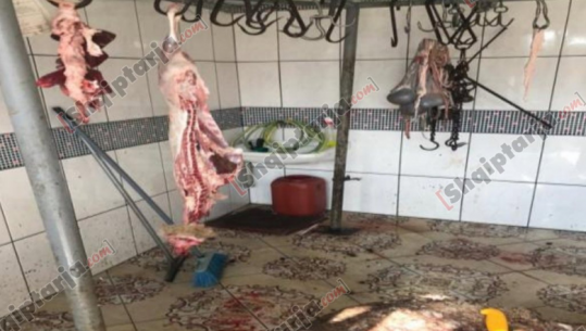 Krujë, kushte të rënda higjeno-sanitare, AKU konfiskon 78 kg mish