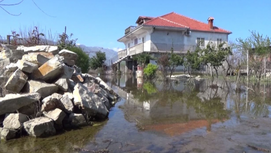 Përmbytjet në Shkodër, 2710 ha tokë nën ujë, dhjetëra shtëpi të rrethuara