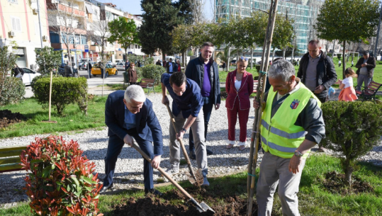 Majko mbjell pemë me Veliajn: Nismë e jashtëzakonshme, diaspora u përgjigj e para