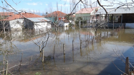 Përmbytjet në Shkodër, në 18 shtëpi ende nuk është tërhequr uji/ Situata