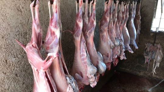 Sekuestrohen 115 kg mish qengji e keci në Delvinë, thereshin në stallë bagëtish/VD