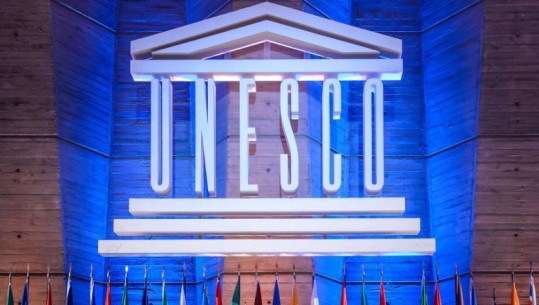 Jep dorëheqjen ambasadori i Serbisë në UNESCO
