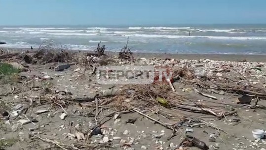 Fier, mbulohet nga mbetjet plazhi i Semanit/VIDEO,FOTO