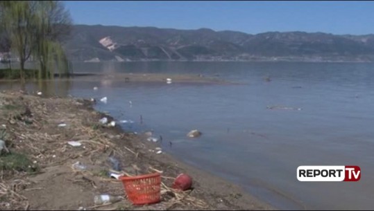 Ujërat e zeza ndotin liqenin e Pogradecit, banorët: Kulmi arrin në sezonin turistik