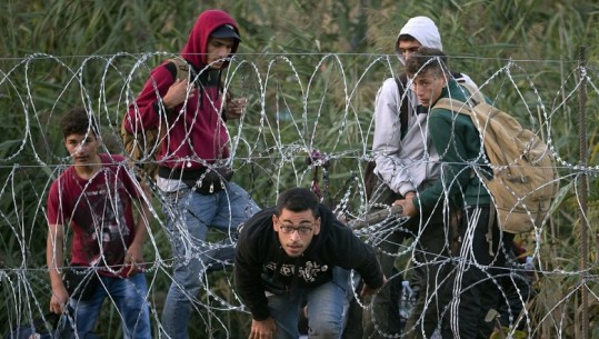 Raporti/ Katërfishohen emigrantët e paligjshëm në Shqipëri