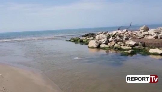 Sezoni turistik, asnjë masë për evitimin  e ujërave të zeza në plazhin e Durrësit