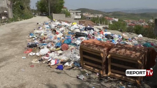 Mbetjet urbane pushtojnë Vlorën, Lilaj: Situata kritike në zonat e mbrojtura