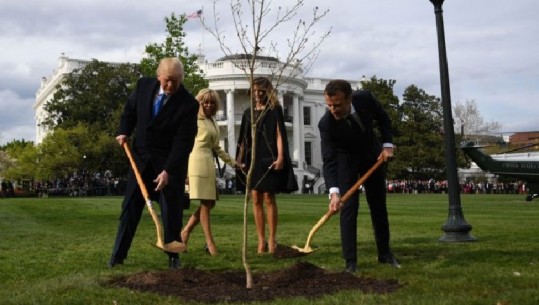 Macron dhe Trump mbjellin pemën në 'Shtëpinë e Bardhë', dhuratë nga shteti francez