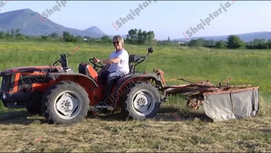 Mesazh për rininë shqiptare të kafeneve/ Norvegjezi del vullnetar për të punuar në bujqësi në Lezhë