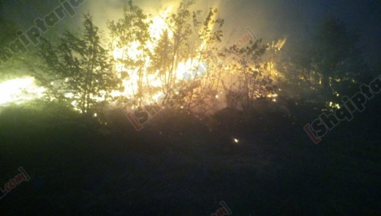 Disa orë 'luftë' me flakët, neutralizohet zjarri në Mirditë