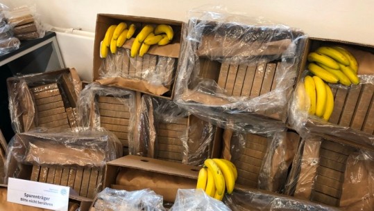 Shqiptarët 1.8 ton kokainë nga Ekuadori në Gjermani, ministri bavarez: 12 në pranga, por duam 'kokat'