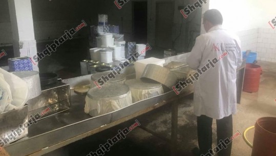 Delvinë, AKU bllokon 400 kg djathë jashtë kushteve higjieno-sanitare