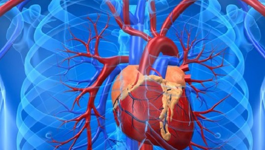 Zmadhimi i zemrës – ushqimet dhe mënyrat natyrale të trajtimit
