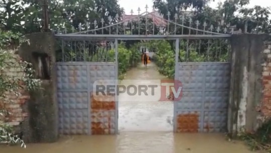 Cërrik/ Reshjet e shiut shkaktojnë një sërë dëmesh, banorët apel për ndihmë