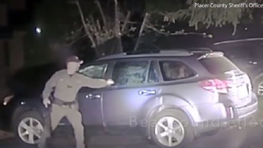 Ariu bllokohet brenda në makinë, ja si shpëtohet nga polici kalifornian/ Video 