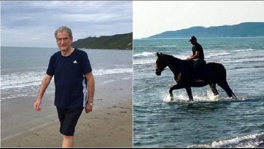 Tahiri 'sfidon' Berishën tek Gjiri i Lalzit, doktori me hap, Saimiri me kalë (Foto)