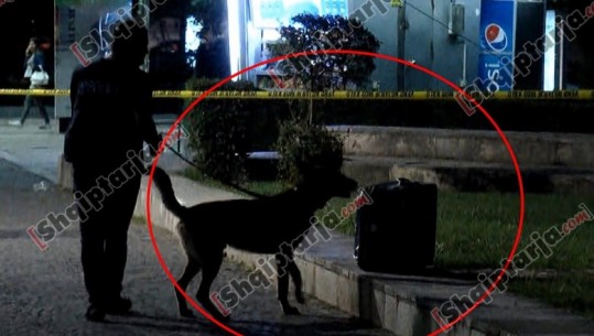 VIDEO/ Tiranë, policia kryen shpërthim të kontrolluar, rezulton fals alarmi për bombë