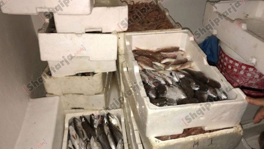 Bllokohen 86 kilogram peshk i ardhur nga Greqia në Sarandë