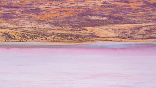 Australi, fenomeni i rrallë shndërron liqenin në një ylber shumëngjyrësh/ FOTO