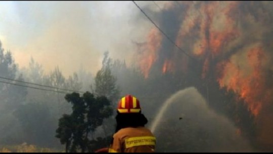 Zjarre masive në Greqi, shkrumbohen mbi 100 shtëpi pranë Athinës, evakuohen banorët/ VIDEO